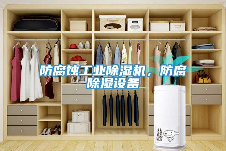防腐蝕工業(yè)除濕機(jī)，防腐除濕設(shè)備