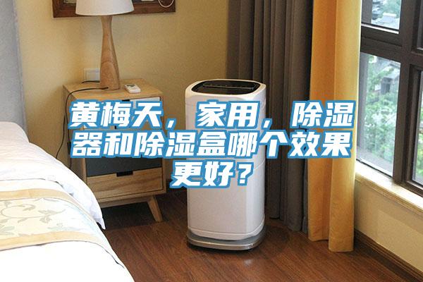 黃梅天，家用，除濕器和除濕盒哪個(gè)效果更好？
