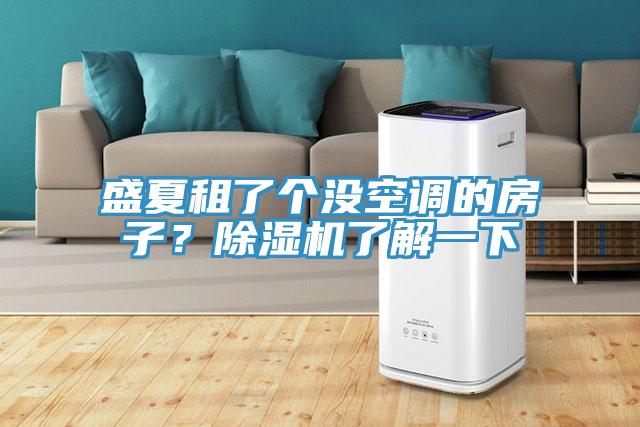 盛夏租了個沒空調(diào)的房子？除濕機(jī)了解一下