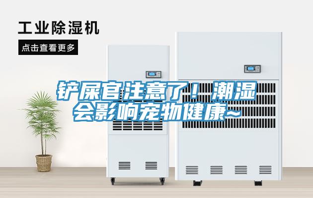 鏟屎官注意了！潮濕會(huì)影響寵物健康~