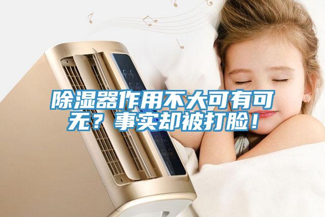 除濕器作用不大可有可無？事實(shí)卻被打臉！