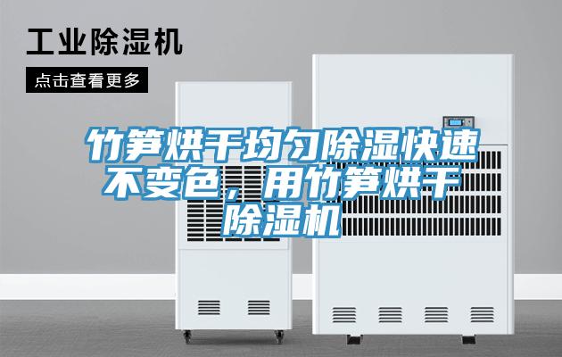 竹筍烘干均勻除濕快速不變色，用竹筍烘干除濕機(jī)
