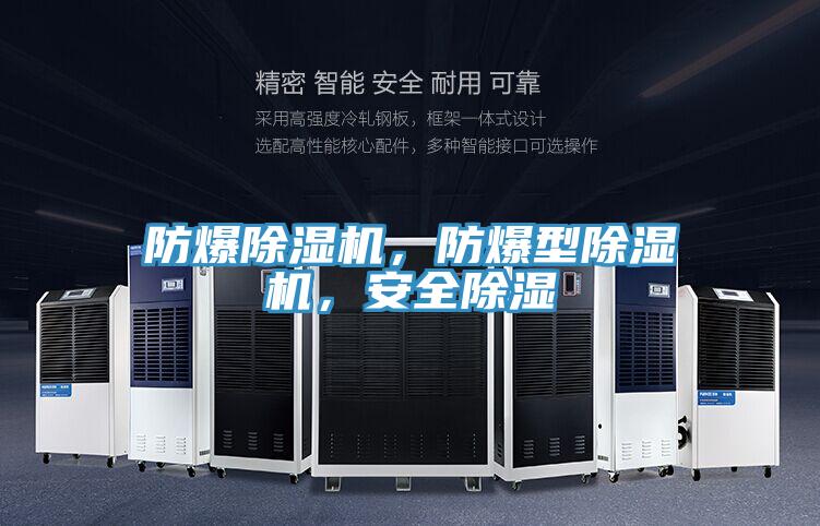 防爆除濕機(jī)，防爆型除濕機(jī)，安全除濕