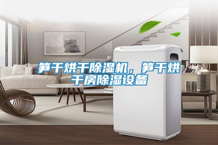 筍干烘干除濕機(jī)，筍干烘干房除濕設(shè)備