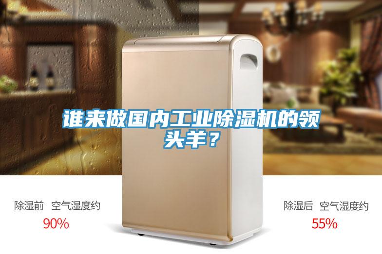 誰(shuí)來(lái)做國(guó)內(nèi)工業(yè)除濕機(jī)的領(lǐng)頭羊？