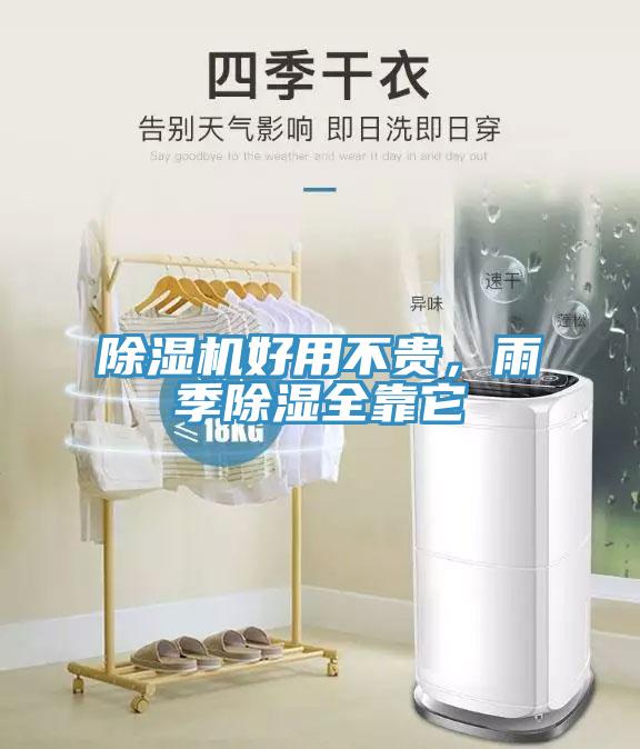 除濕機(jī)好用不貴，雨季除濕全靠它