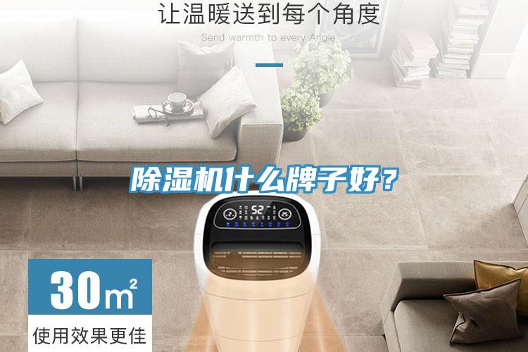 除濕機(jī)什么牌子好？