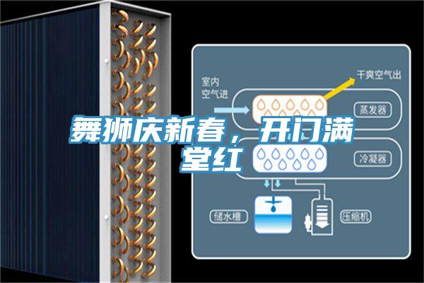 舞獅慶新春，開門滿堂紅