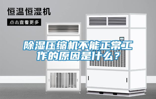 除濕壓縮機(jī)不能正常工作的原因是什么？