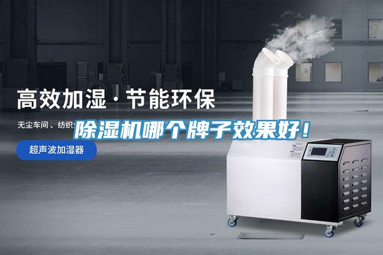 除濕機哪個牌子效果好！