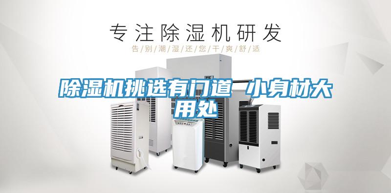 除濕機(jī)挑選有門(mén)道 小身材大用處