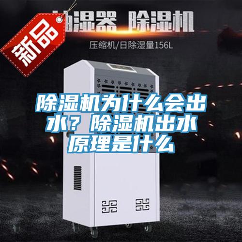 除濕機為什么會出水？除濕機出水原理是什么