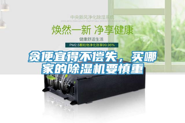 貪便宜得不償失，買哪家的除濕機要慎重