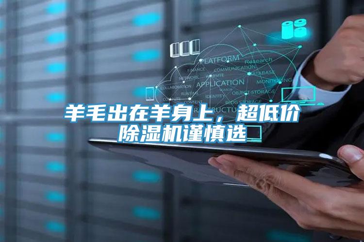 羊毛出在羊身上，超低價除濕機謹慎選