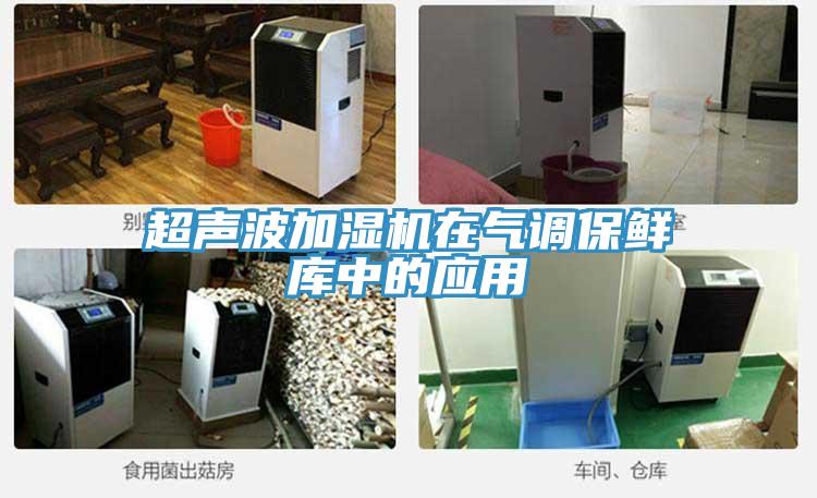 超聲波加濕機在氣調(diào)保鮮庫中的應(yīng)用