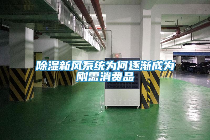 除濕新風系統(tǒng)為何逐漸成為剛需消費品
