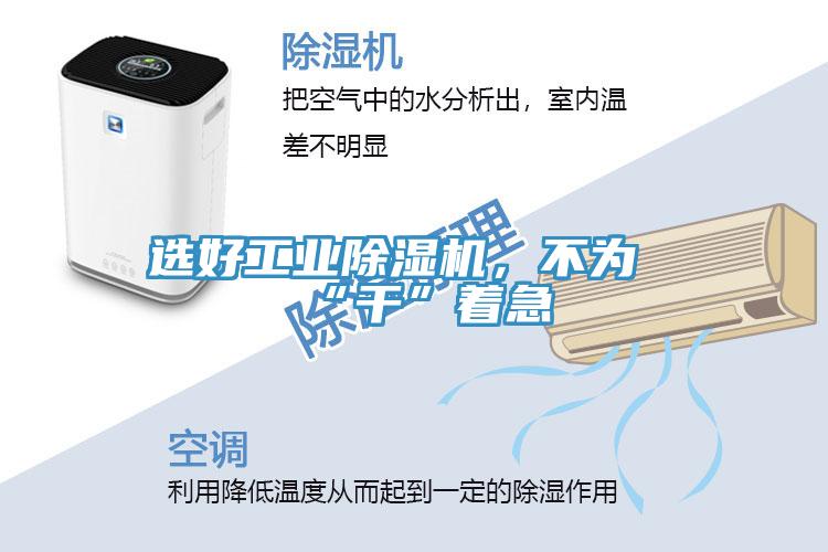 選好工業(yè)除濕機(jī)，不為“干”著急