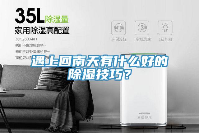 遇上回南天有什么好的除濕技巧？