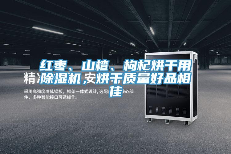紅棗、山楂、枸杞烘干用除濕機，烘干質(zhì)量好品相佳
