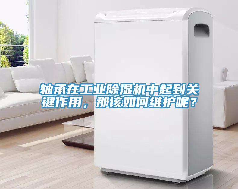 軸承在工業(yè)除濕機(jī)中起到關(guān)鍵作用，那該如何維護(hù)呢？