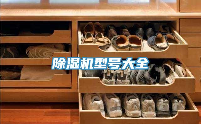 除濕機(jī)型號大全