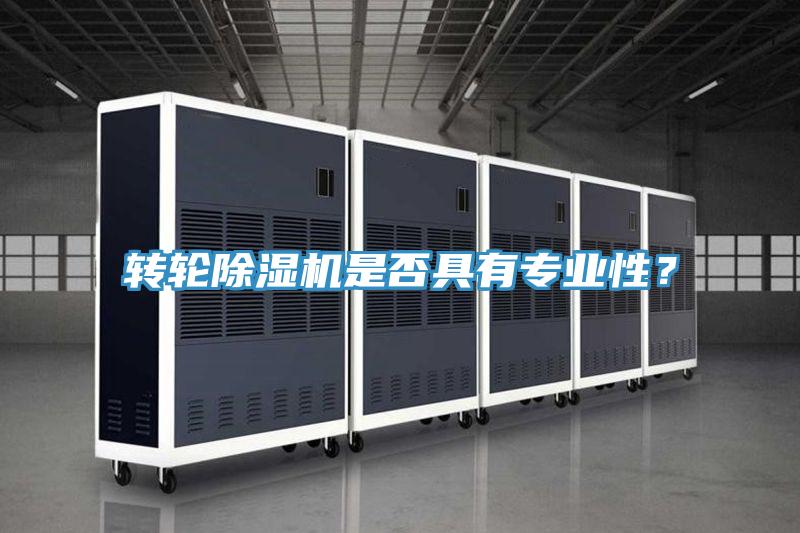 轉(zhuǎn)輪除濕機(jī)是否具有專業(yè)性？