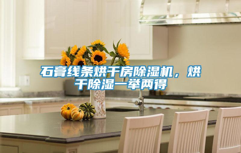 石膏線條烘干房除濕機(jī)，烘干除濕一舉兩得