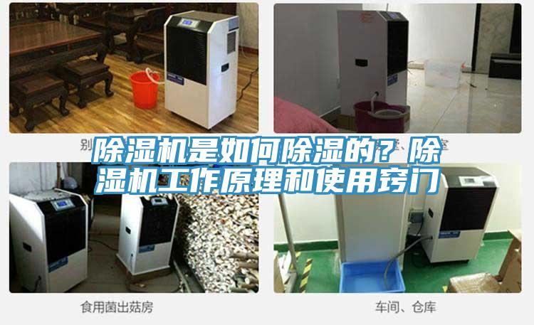 除濕機是如何除濕的？除濕機工作原理和使用竅門