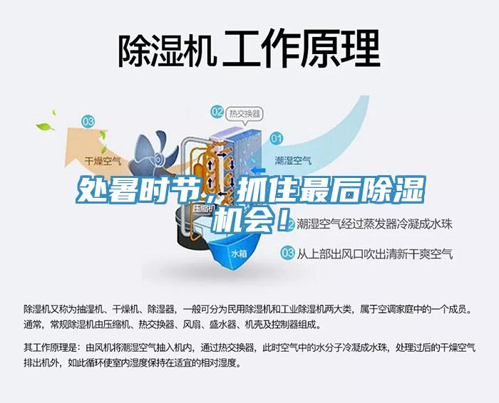 處暑時節(jié)，抓住最后除濕機會！
