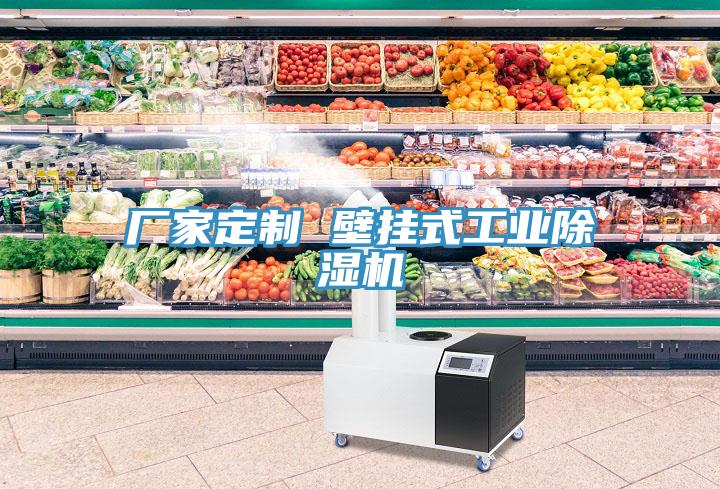 廠家定制 壁掛式工業(yè)除濕機