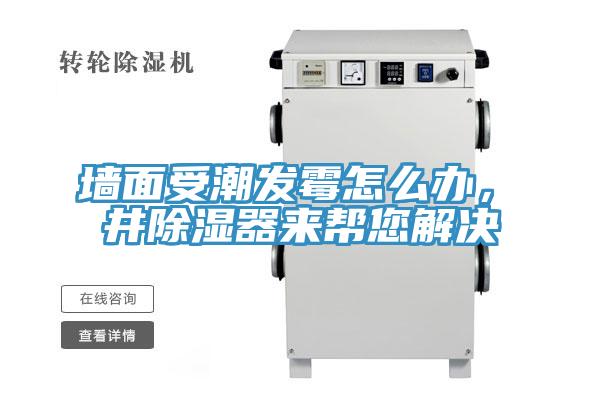 墻面受潮發(fā)霉怎么辦，東井除濕器來幫您解決