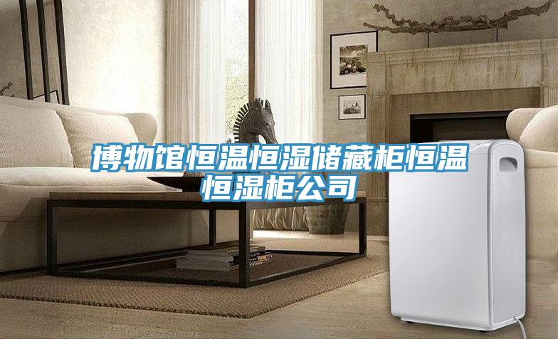 博物館恒溫恒濕儲(chǔ)藏柜恒溫恒濕柜公司