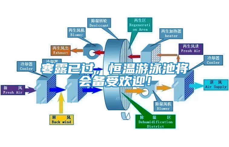 寒露已過，恒溫游泳池將會備受歡迎！