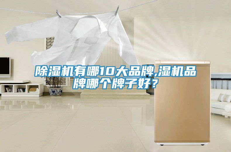 除濕機(jī)有哪10大品牌,濕機(jī)品牌哪個(gè)牌子好？