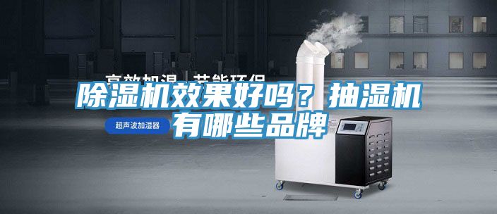 除濕機(jī)效果好嗎？抽濕機(jī)有哪些品牌