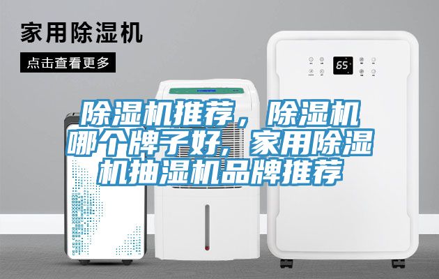 除濕機推薦，除濕機哪個牌子好, 家用除濕機抽濕機品牌推薦