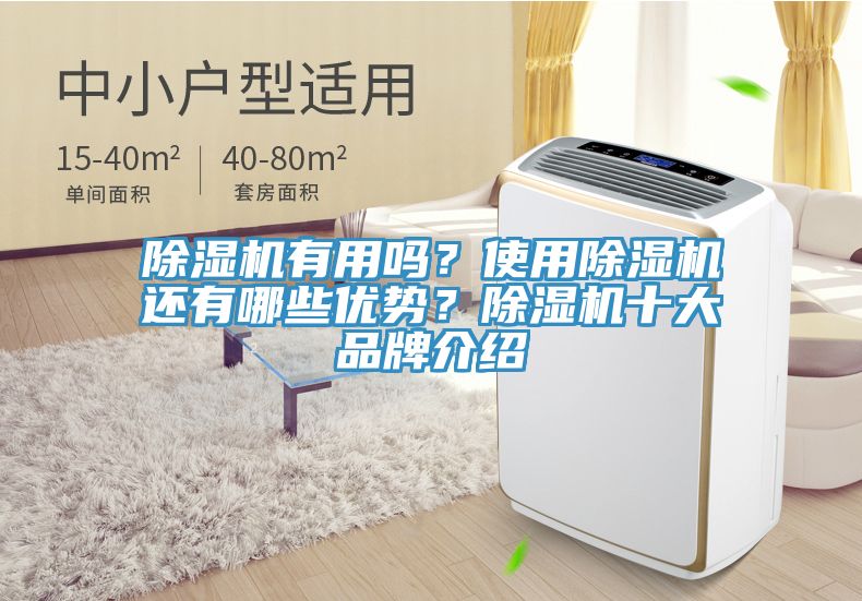 除濕機有用嗎？使用除濕機還有哪些優(yōu)勢？除濕機十大品牌介紹