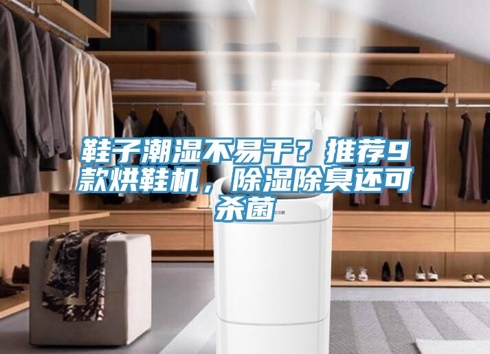鞋子潮濕不易干？推薦9款烘鞋機，除濕除臭還可殺菌