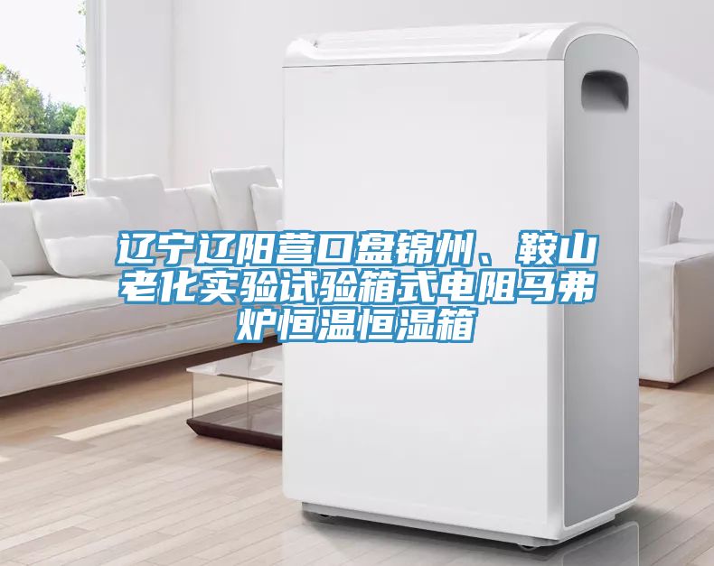 遼寧遼陽營口盤錦州、鞍山老化實(shí)驗(yàn)試驗(yàn)箱式電阻馬弗爐恒溫恒濕箱