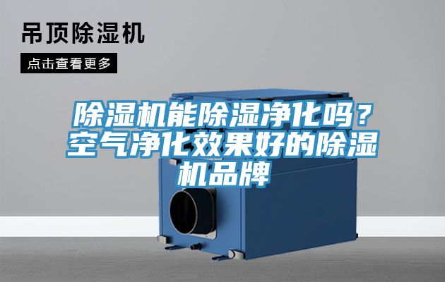 除濕機(jī)能除濕凈化嗎？空氣凈化效果好的除濕機(jī)品牌