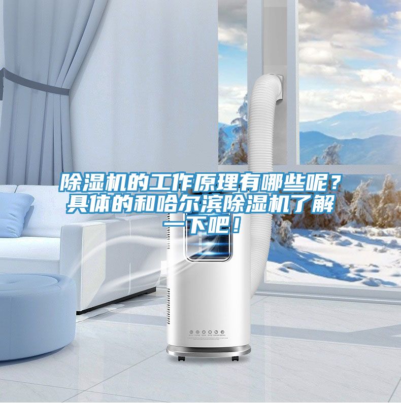 除濕機的工作原理有哪些呢？具體的和哈爾濱除濕機了解一下吧！