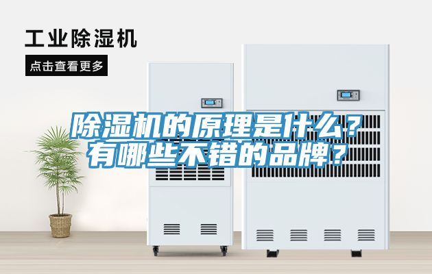 除濕機(jī)的原理是什么？有哪些不錯(cuò)的品牌？