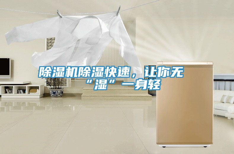 除濕機(jī)除濕快速，讓你無“濕”一身輕