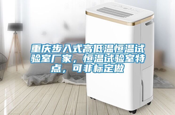 重慶步入式高低溫恒溫試驗(yàn)室廠家，恒溫試驗(yàn)室特點(diǎn)，可非標(biāo)定做