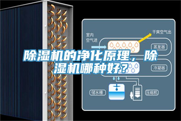 除濕機(jī)的凈化原理，除濕機(jī)哪種好？