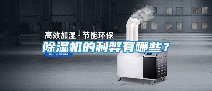 除濕機(jī)的利弊有哪些？