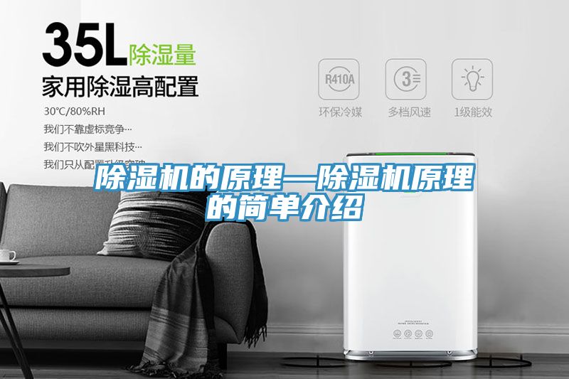 除濕機(jī)的原理—除濕機(jī)原理的簡(jiǎn)單介紹
