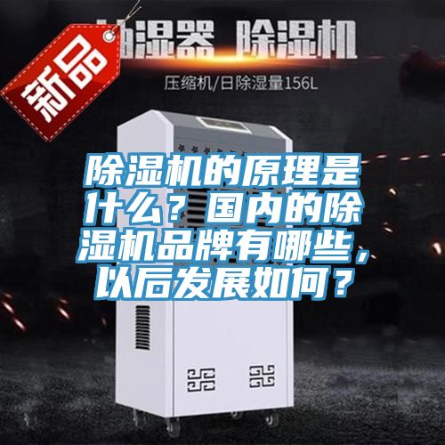 除濕機(jī)的原理是什么？國內(nèi)的除濕機(jī)品牌有哪些，以后發(fā)展如何？