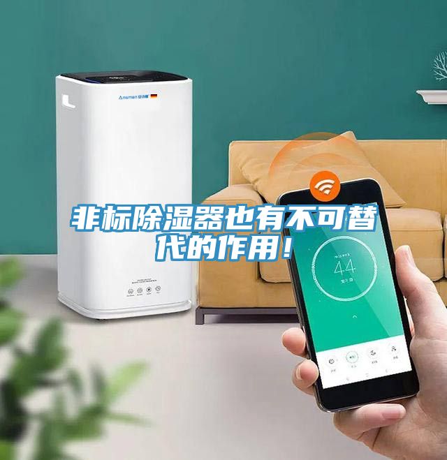 非標(biāo)除濕器也有不可替代的作用！
