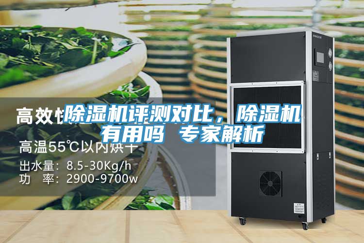 除濕機(jī)評(píng)測對比，除濕機(jī)有用嗎 專家解析